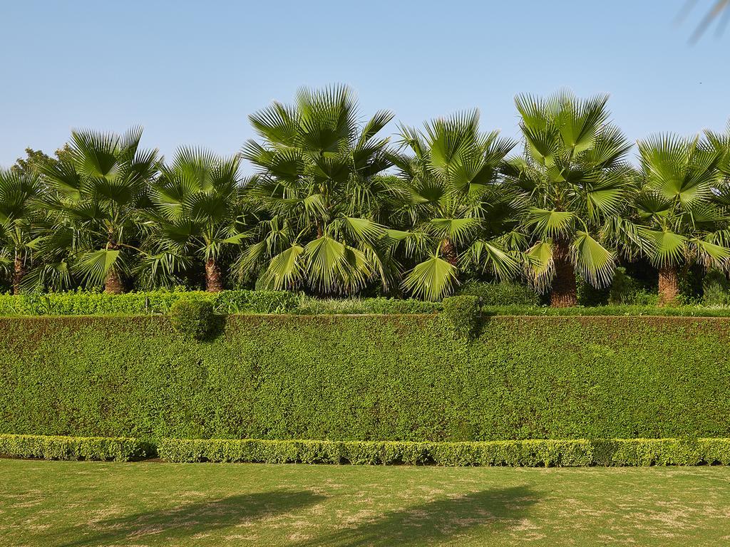 Club Mahindra Kandaghat Exterior foto